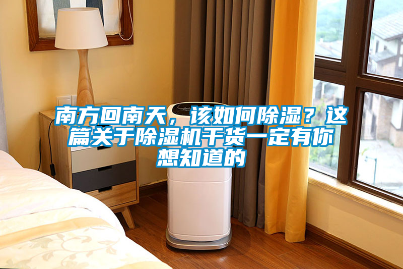 南方回南天，該如何除濕？這篇關(guān)于除濕機(jī)干貨一定有你想知道的