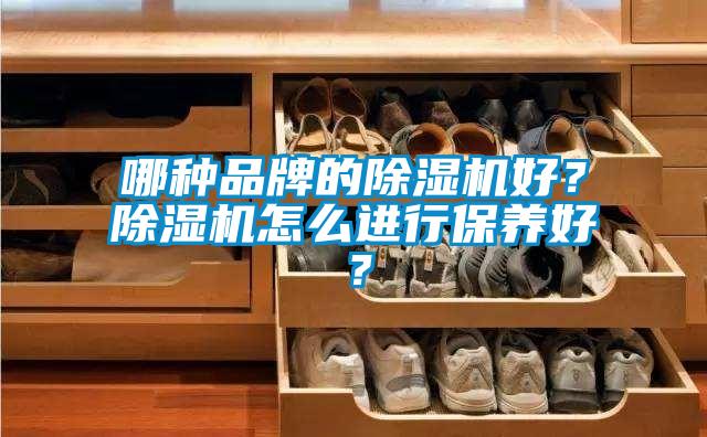 哪種品牌的除濕機好？除濕機怎么進行保養(yǎng)好？