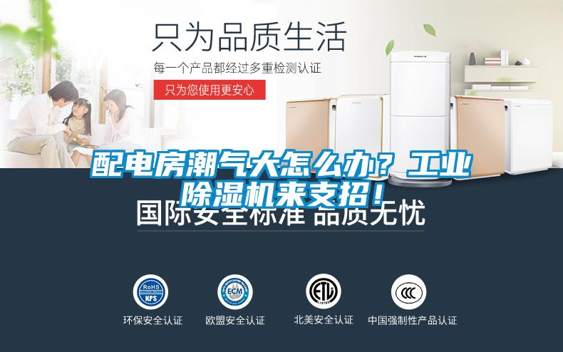 配電房潮氣大怎么辦？工業(yè)除濕機來支招！