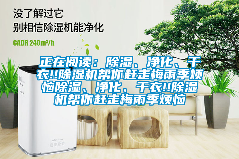 正在閱讀：除濕、凈化、干衣!!除濕機(jī)幫你趕走梅雨季煩惱除濕、凈化、干衣!!除濕機(jī)幫你趕走梅雨季煩惱