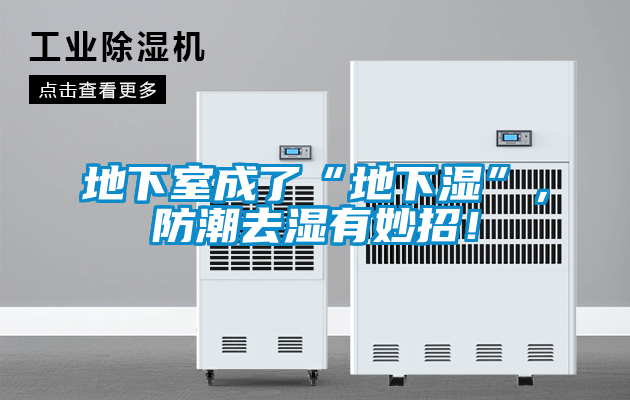地下室成了“地下濕”，防潮去濕有妙招！
