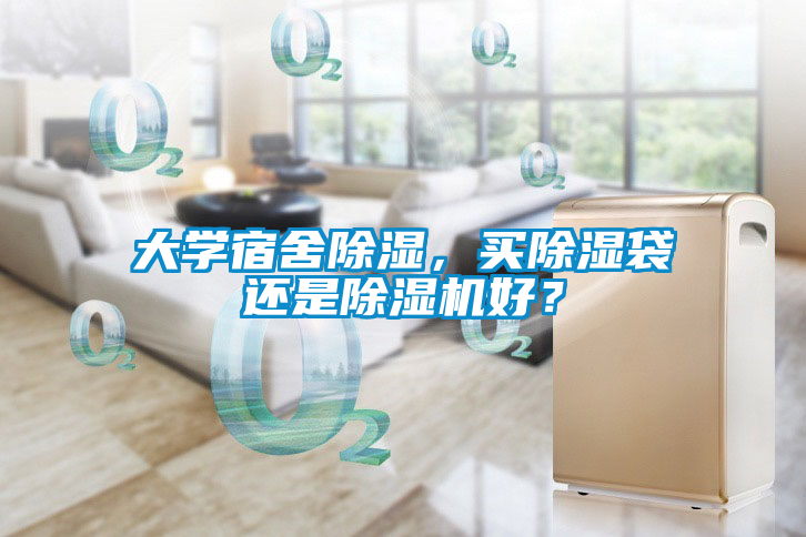 大學(xué)宿舍除濕，買除濕袋還是除濕機(jī)好？