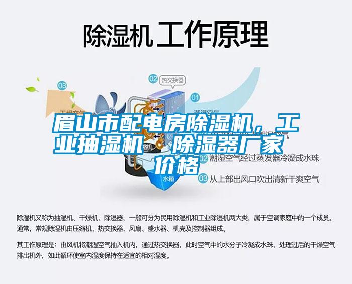 眉山市配電房除濕機(jī)，工業(yè)抽濕機(jī)  除濕器廠家 價格