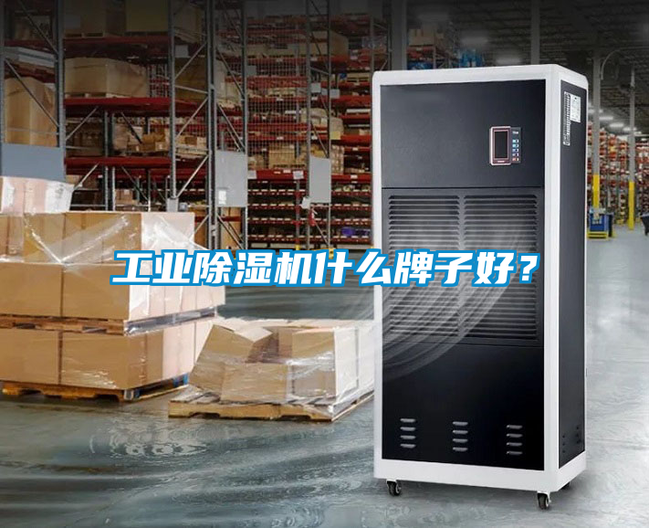 工業(yè)除濕機什么牌子好？
