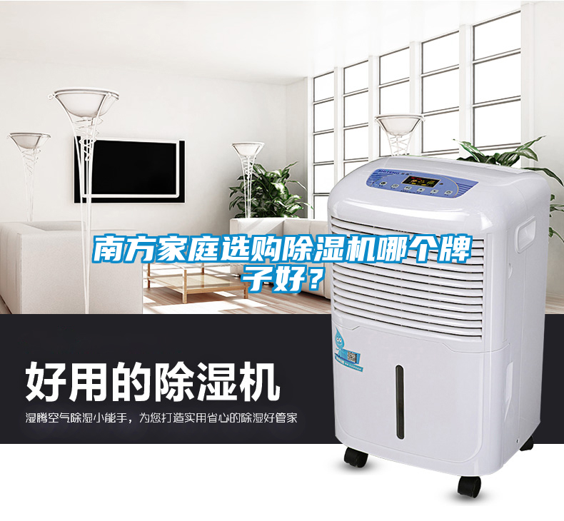 南方家庭選購(gòu)除濕機(jī)哪個(gè)牌子好？