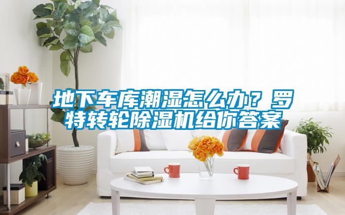 地下車庫潮濕怎么辦？羅特轉(zhuǎn)輪除濕機給你答案