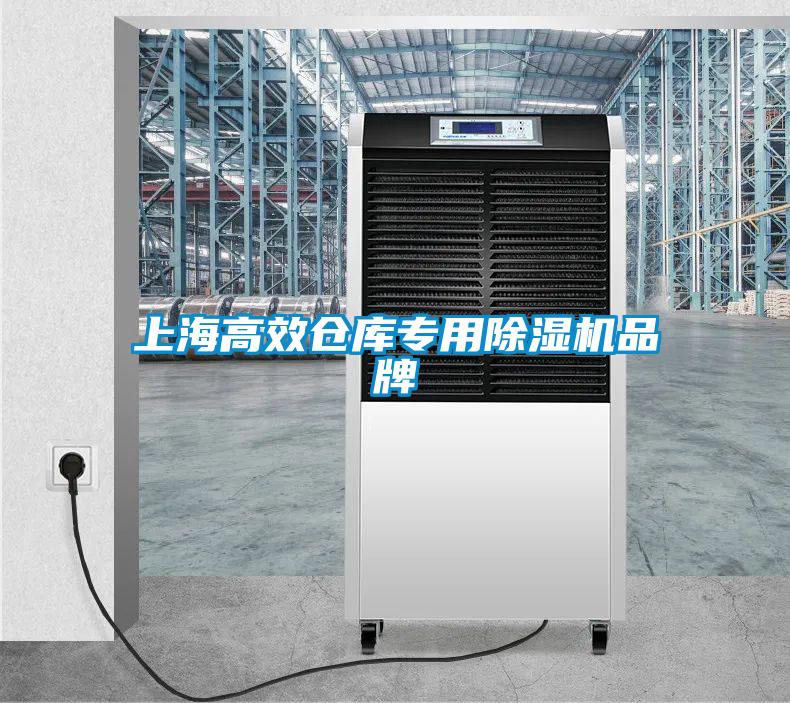 上海高效倉(cāng)庫(kù)專(zhuān)用除濕機(jī)品牌