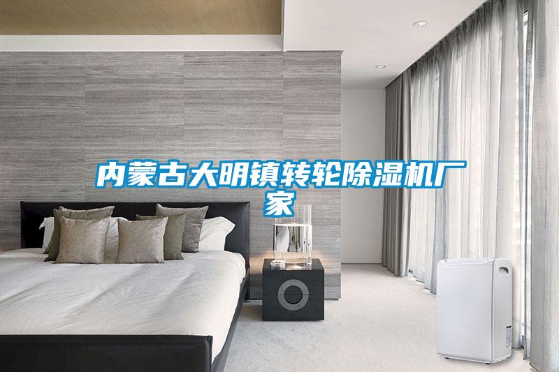 內(nèi)蒙古大明鎮(zhèn)轉輪除濕機廠家