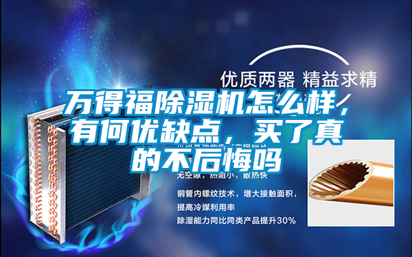 萬得福除濕機怎么樣，有何優(yōu)缺點，買了真的不后悔嗎