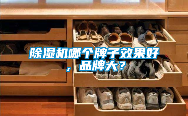 除濕機(jī)哪個(gè)牌子效果好，品牌大？