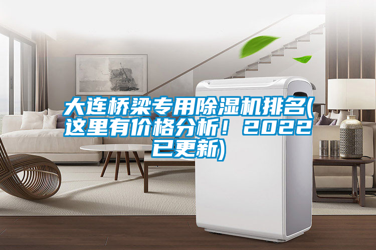 大連橋梁專用除濕機(jī)排名(這里有價(jià)格分析！2022已更新)