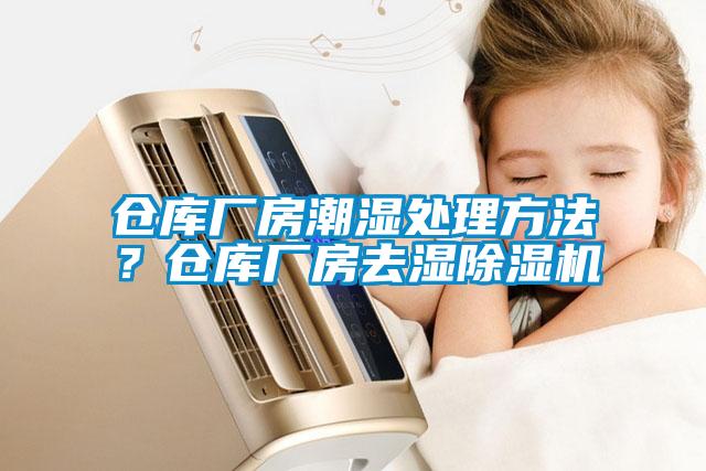 倉庫廠房潮濕處理方法？倉庫廠房去濕除濕機