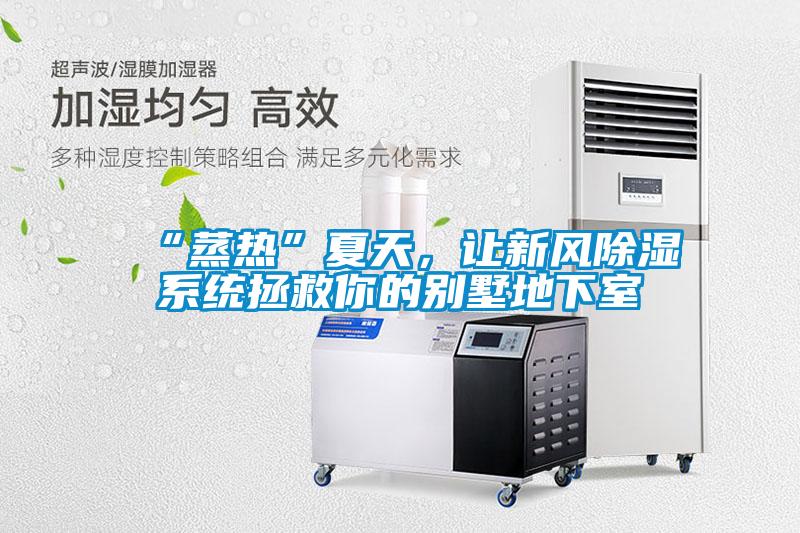 “蒸熱”夏天，讓新風(fēng)除濕系統(tǒng)拯救你的別墅地下室