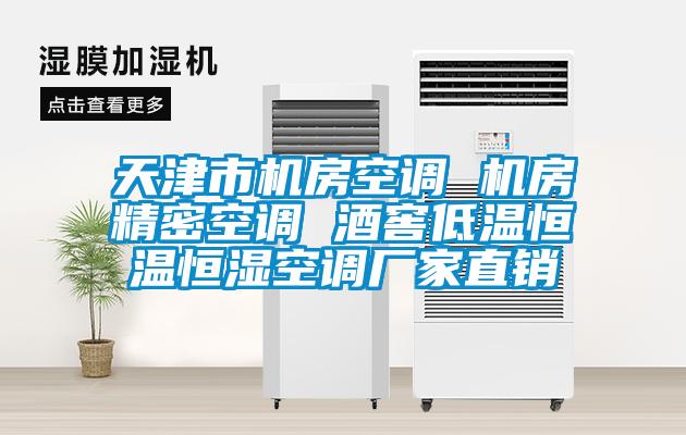 天津市機(jī)房空調(diào) 機(jī)房精密空調(diào) 酒窖低溫恒溫恒濕空調(diào)廠(chǎng)家直銷(xiāo)