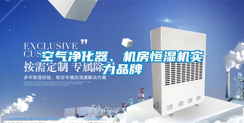 空氣凈化器、機(jī)房恒濕機(jī)實(shí)力品牌