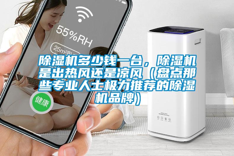 除濕機(jī)多少錢一臺，除濕機(jī)是出熱風(fēng)還是涼風(fēng)（盤點(diǎn)那些專業(yè)人士極力推薦的除濕機(jī)品牌）