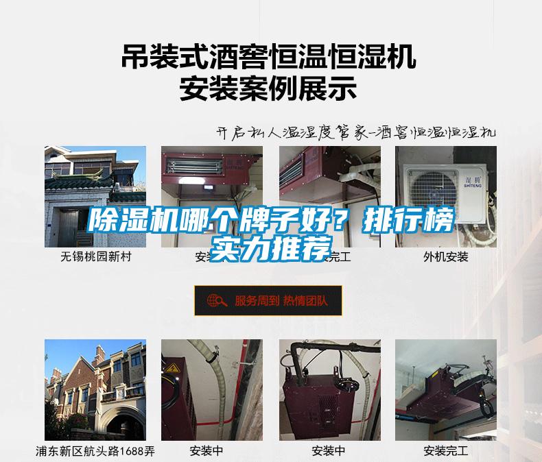 除濕機哪個牌子好？排行榜實力推薦