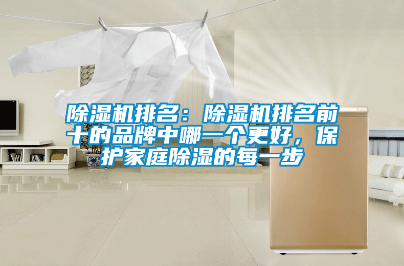 除濕機排名：除濕機排名前十的品牌中哪一個更好，保護家庭除濕的每一步