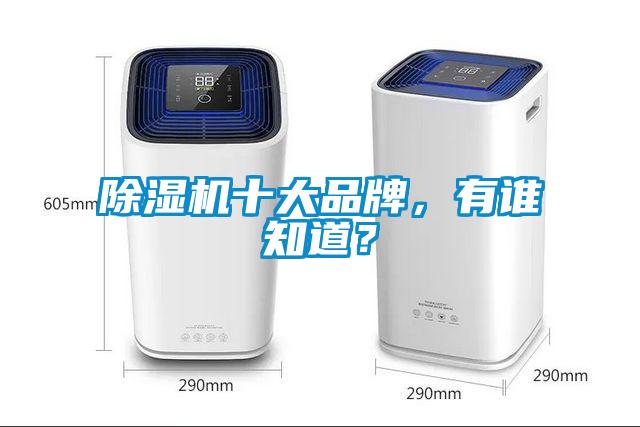 除濕機十大品牌，有誰知道？