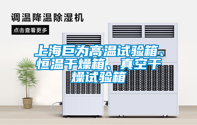 上海巨為高溫試驗(yàn)箱、恒溫干燥箱、真空干燥試驗(yàn)箱