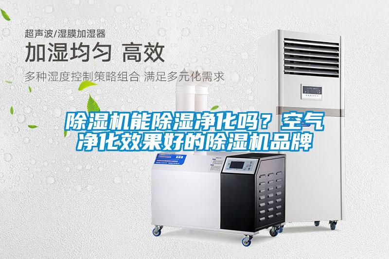 除濕機能除濕凈化嗎？空氣凈化效果好的除濕機品牌