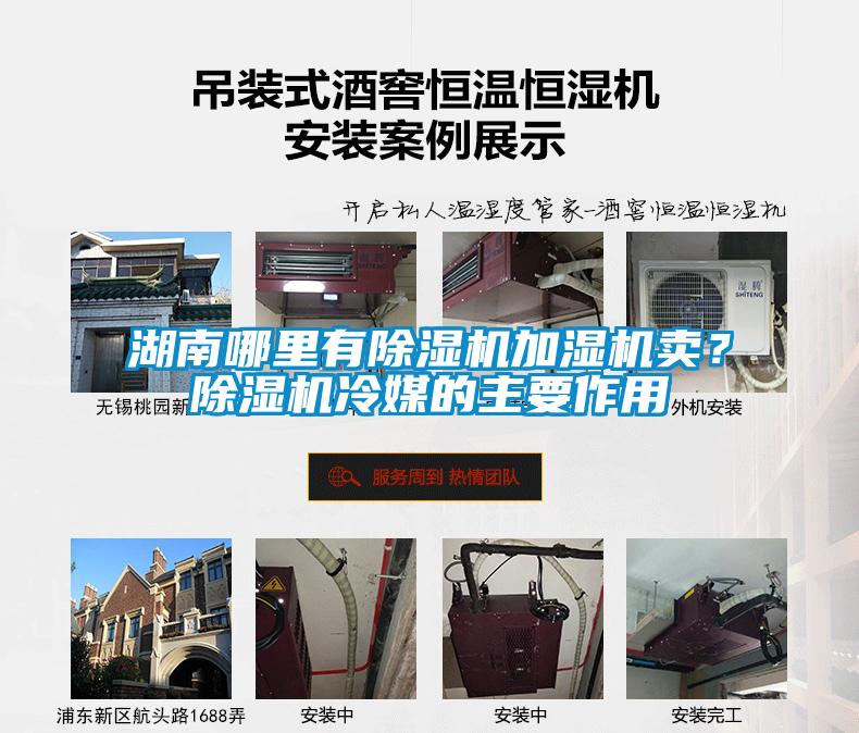湖南哪里有除濕機加濕機賣？除濕機冷媒的主要作用