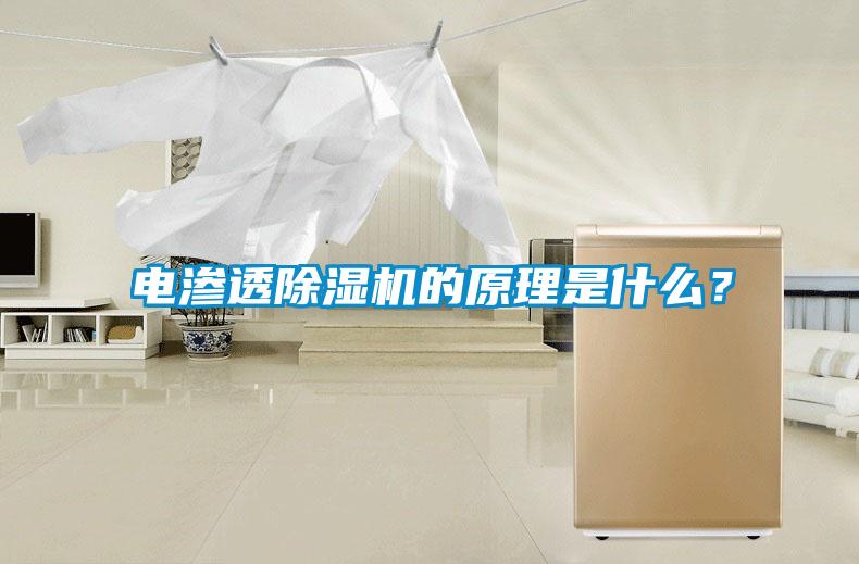 電滲透除濕機(jī)的原理是什么？
