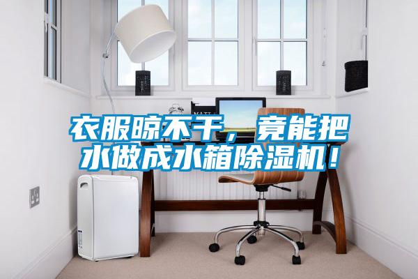 衣服晾不干，竟能把水做成水箱除濕機(jī)！