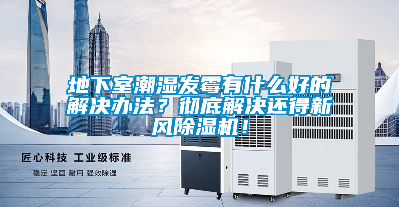 地下室潮濕發(fā)霉有什么好的解決辦法？徹底解決還得新風(fēng)除濕機(jī)！