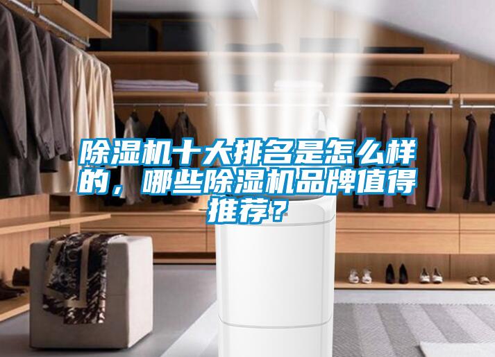 除濕機十大排名是怎么樣的，哪些除濕機品牌值得推薦？