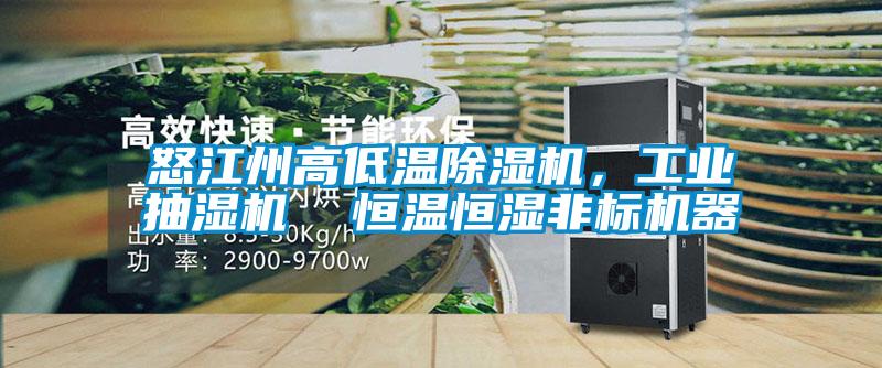 怒江州高低溫除濕機(jī)，工業(yè)抽濕機(jī)  恒溫恒濕非標(biāo)機(jī)器