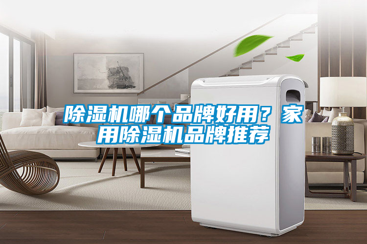 除濕機哪個品牌好用？家用除濕機品牌推薦