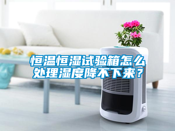 恒溫恒濕試驗(yàn)箱怎么處理濕度降不下來(lái)？