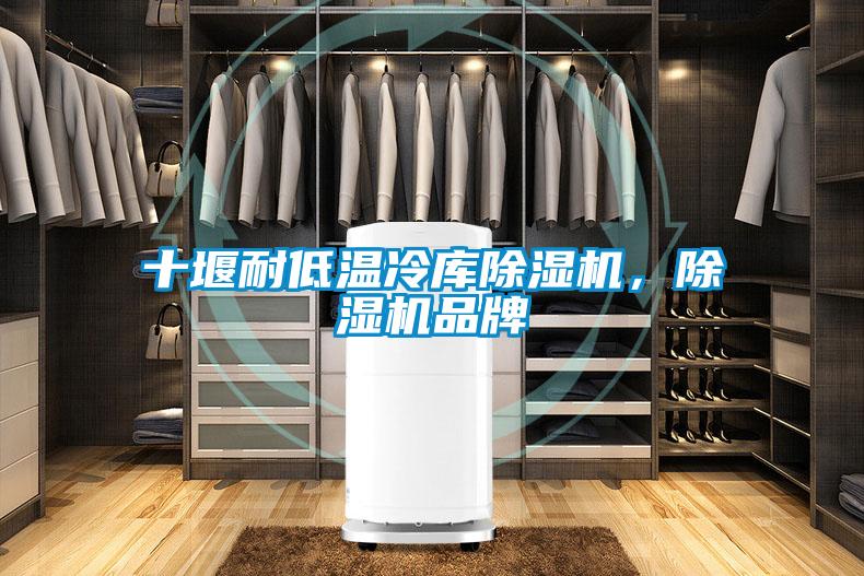 十堰耐低溫冷庫(kù)除濕機(jī)，除濕機(jī)品牌