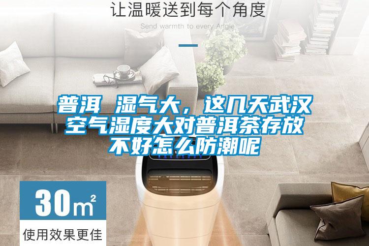 普洱 濕氣大，這幾天武漢空氣濕度大對(duì)普洱茶存放不好怎么防潮呢