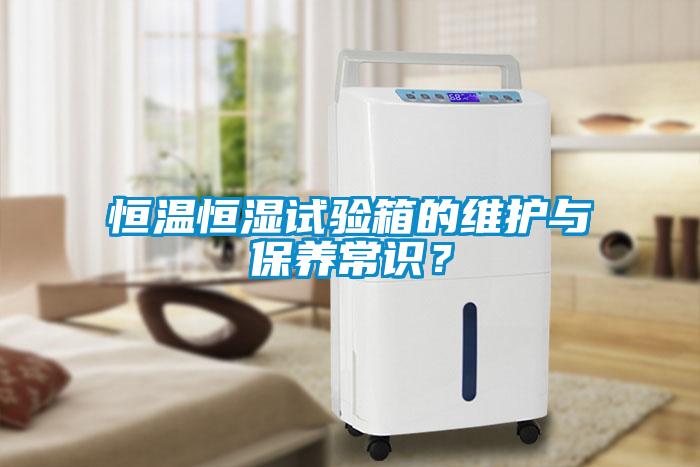 恒溫恒濕試驗(yàn)箱的維護(hù)與保養(yǎng)常識？