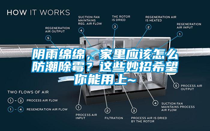 陰雨綿綿，家里應(yīng)該怎么防潮除霉？這些妙招希望你能用上~