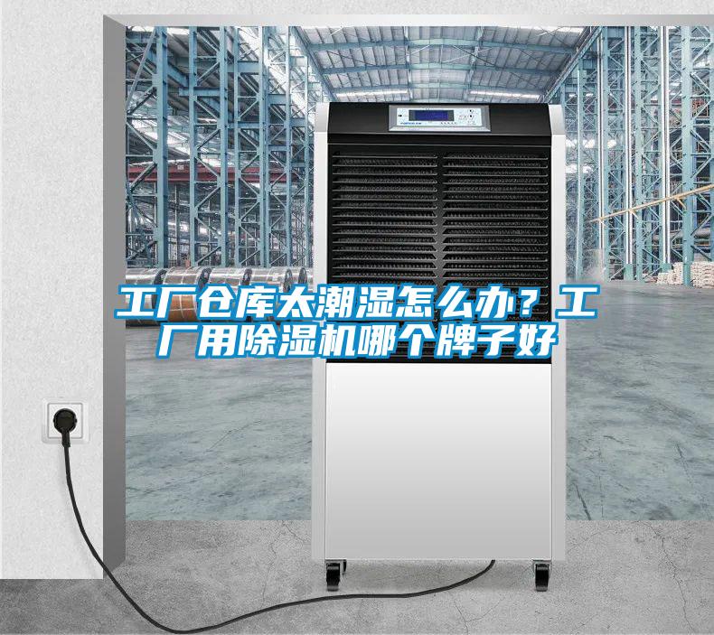 工廠倉(cāng)庫(kù)太潮濕怎么辦？工廠用除濕機(jī)哪個(gè)牌子好