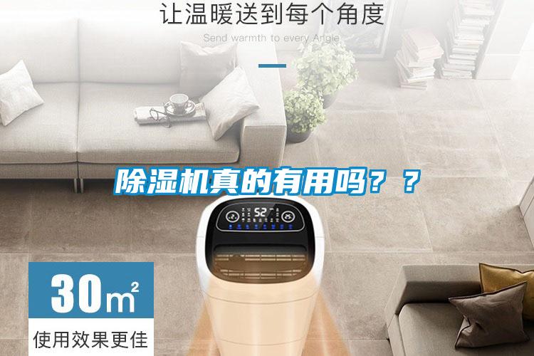 除濕機真的有用嗎？？