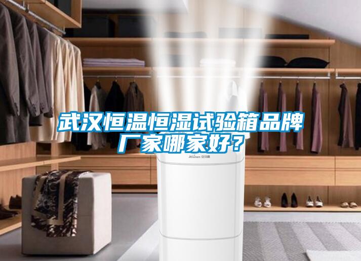 武漢恒溫恒濕試驗箱品牌廠家哪家好？