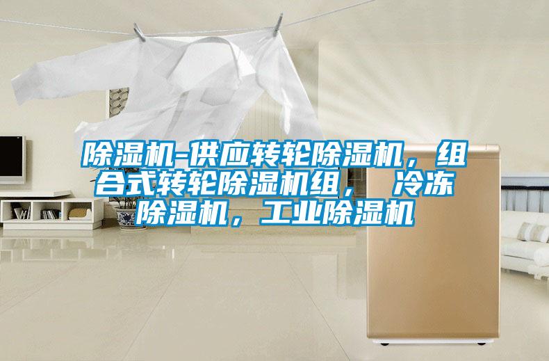 除濕機(jī)-供應(yīng)轉(zhuǎn)輪除濕機(jī)，組合式轉(zhuǎn)輪除濕機(jī)組， 冷凍除濕機(jī)，工業(yè)除濕機(jī)