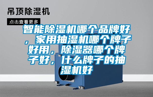 智能除濕機哪個品牌好，家用抽濕機哪個牌子好用，除濕器哪個牌子好，什么牌子的抽濕機好