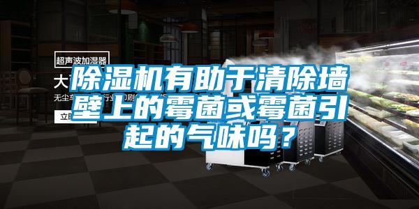 除濕機(jī)有助于清除墻壁上的霉菌或霉菌引起的氣味嗎？