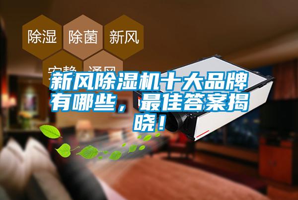 新風(fēng)除濕機十大品牌有哪些，最佳答案揭曉！