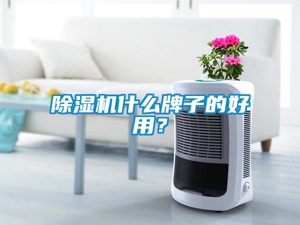 除濕機(jī)什么牌子的好用？
