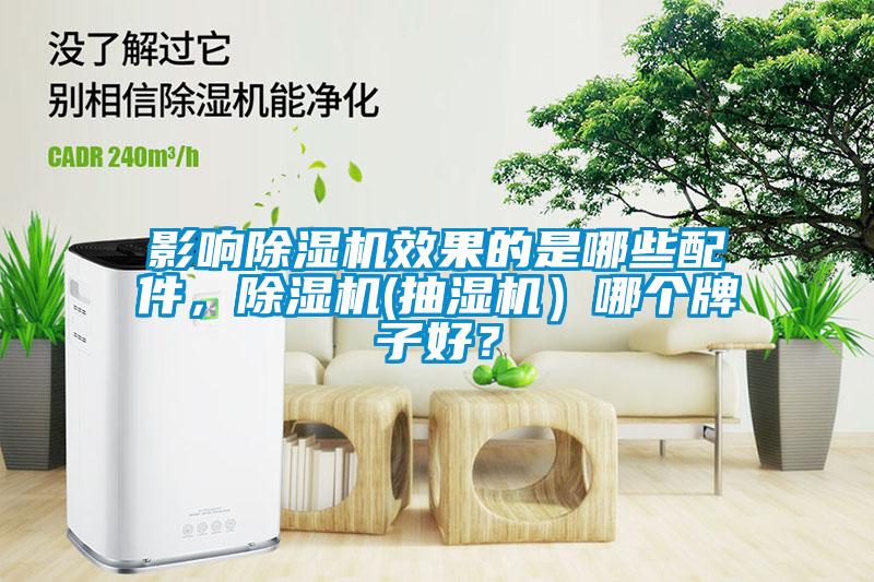 影響除濕機效果的是哪些配件，除濕機(抽濕機）哪個牌子好？