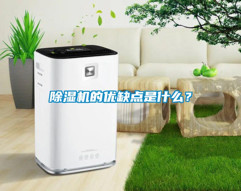 除濕機(jī)的優(yōu)缺點(diǎn)是什么？