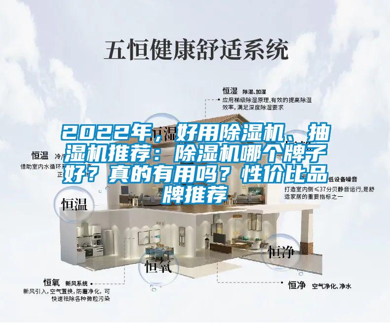 2022年，好用除濕機、抽濕機推薦：除濕機哪個牌子好？真的有用嗎？性價比品牌推薦