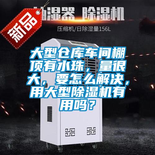 大型倉庫車間棚頂有水珠，量很大，要怎么解決，用大型除濕機有用嗎？