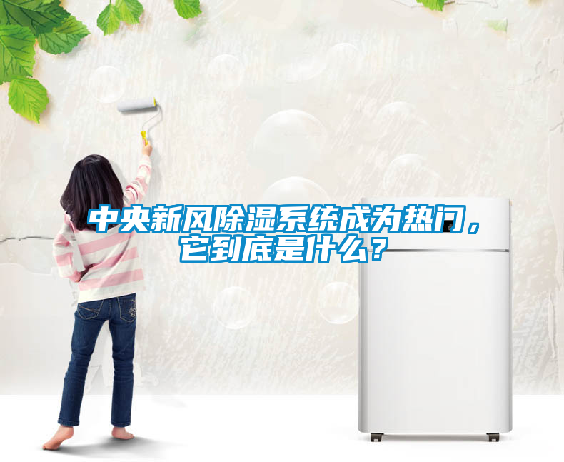 中央新風(fēng)除濕系統(tǒng)成為熱門，它到底是什么？